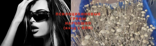 мет Алзамай