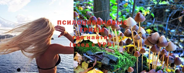 мет Алзамай