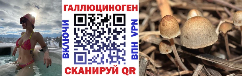 Псилоцибиновые грибы MAGIC MUSHROOMS  купить  цена  мега как войти  Ивдель 