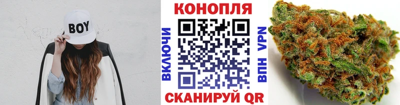 Бошки марихуана VHQ Ивдель